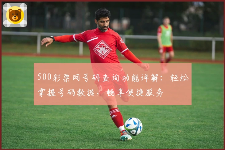 500彩票网号码查询功能详解：轻松掌握号码数据，畅享便捷服务