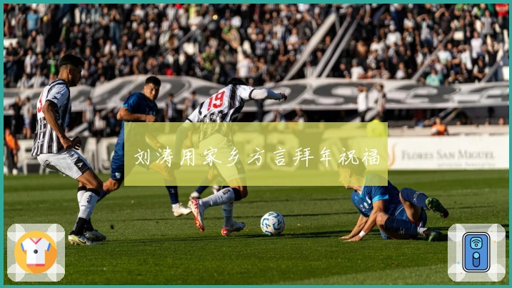 刘涛用家乡方言拜年祝福